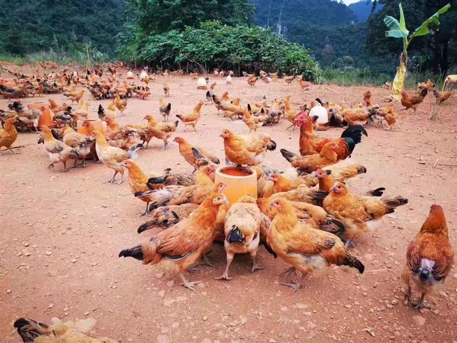 ������ʱ��(�й���)�������ǲ�!