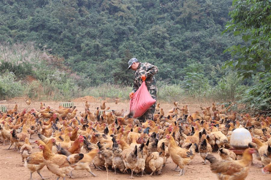 ������ʱ��(�й���)�������ǲ�!