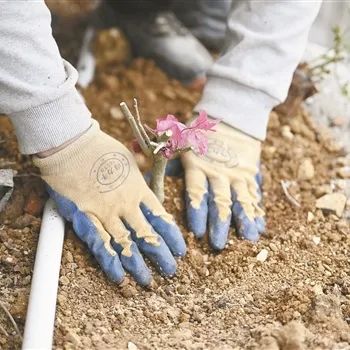 ������ʱ��(�й���)�������ǲ�!