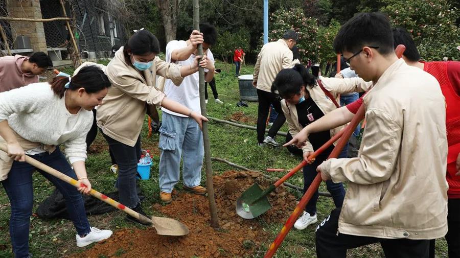 ������ʱ��(�й���)�������ǲ�!