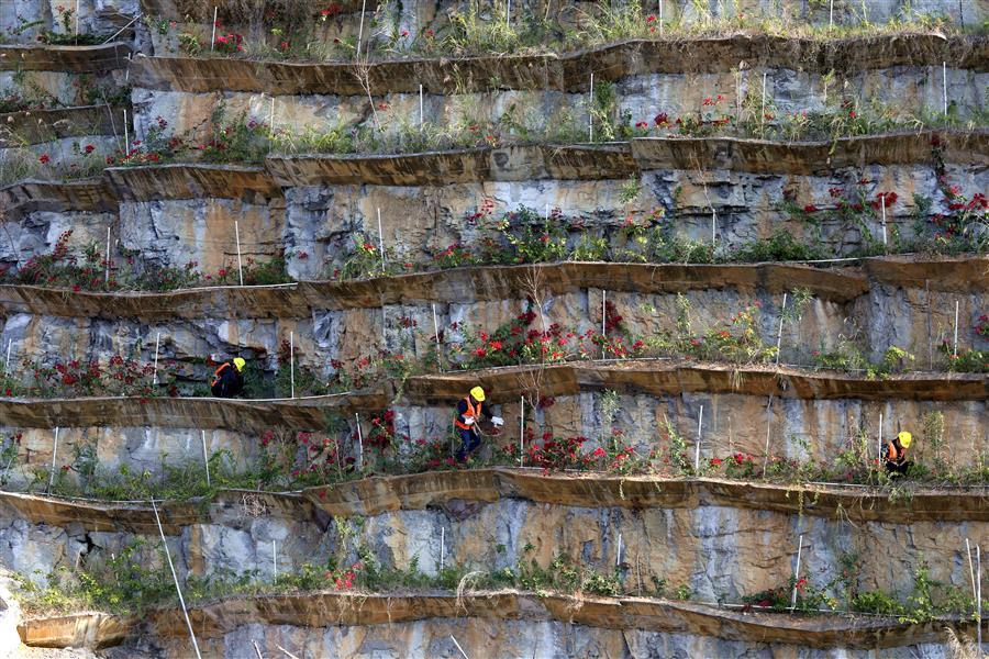 ������ʱ��(�й���)�������ǲ�!