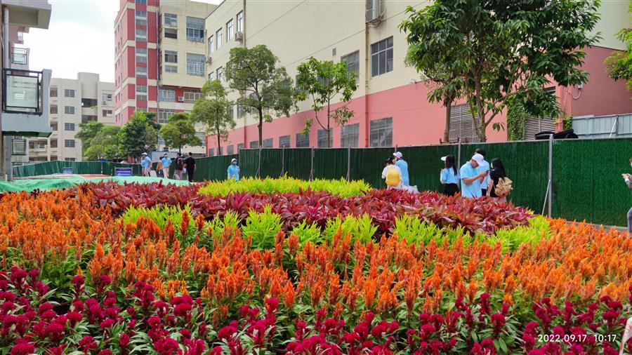 ������ʱ��(�й���)�������ǲ�!