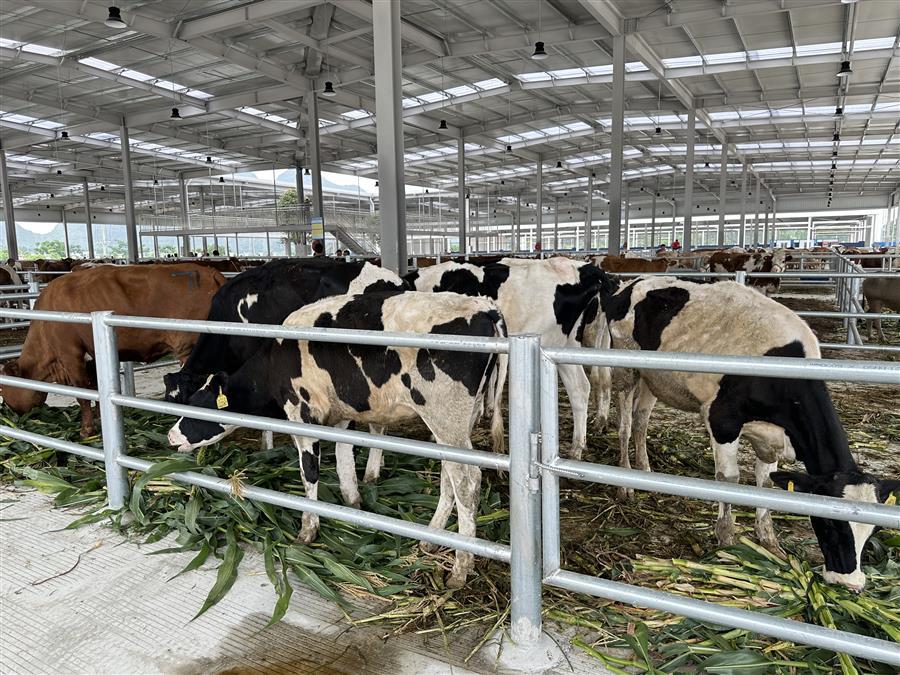 ������ʱ��(�й���)�������ǲ�!