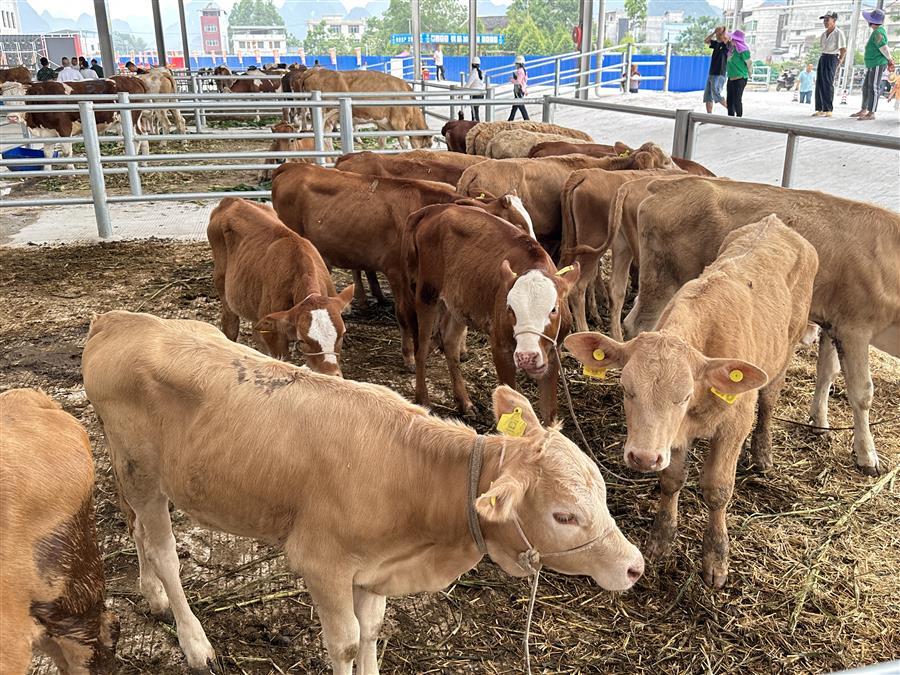 ������ʱ��(�й���)�������ǲ�!