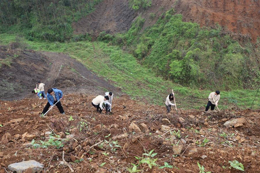 ×ðÁú¿Ê±¡¤(ÖйúÇø)ÈËÉú¾ÍÊDz«!