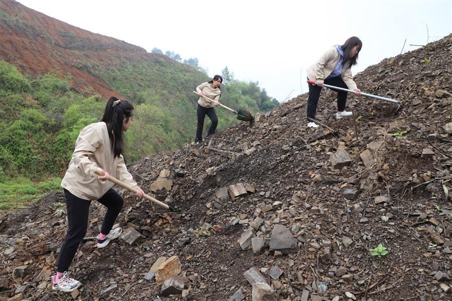 ×ðÁú¿Ê±¡¤(ÖйúÇø)ÈËÉú¾ÍÊDz«!