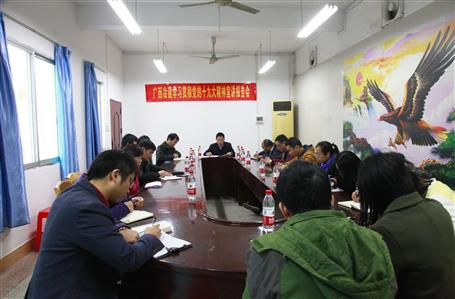 ��˾��ί����������굽���繫˾����ʮ�Ŵ���