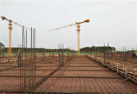 ����ս80�졤�������ȡ�ȫ����֯ϸ������ ��Ŀ�����ֺ��ֿ�