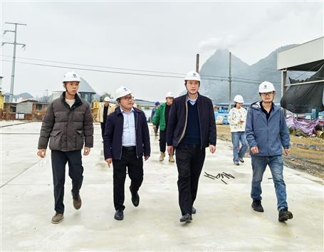 ���µ���Ŀ��չһ�����߸��������ۺϴ���